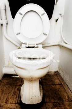 450x350-17137278-dirty-neglected-toilet-seat-up.jpg