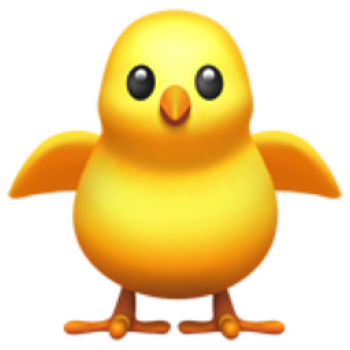 450x350-front-facing-baby-chick1.png