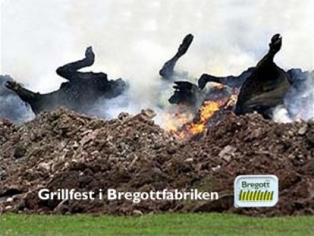 450x350-grillfest.jpg