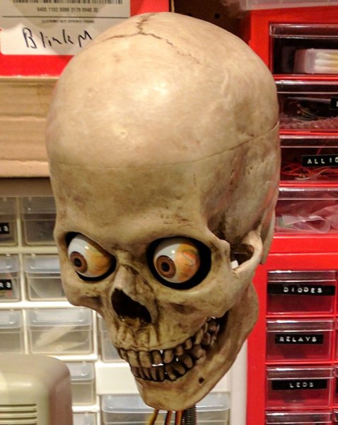 600x600-amazon-alexa-skull-project-yorick-mike-mcgurrin-1.jpg