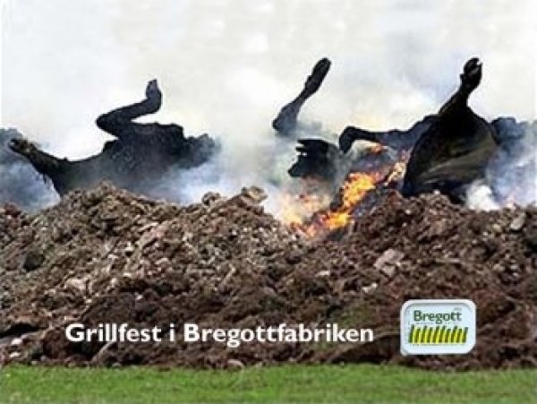 600x600-grillfest.jpg