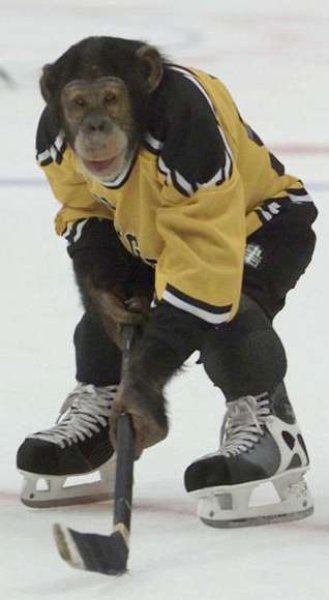 600x600-monkeyhockey.jpg